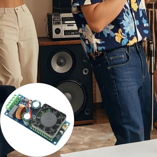 HiFi Mono Digital Amplifiers Board 500W Output Optimized For 1