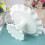 Beautifully Crafted High Footed Ceramic Plate For-5.5 inches 6