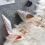 1Paio Fermagli Scarpe Con Per Pumps 11