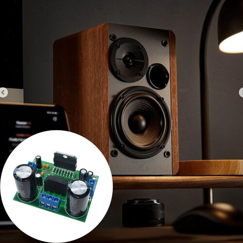 Accuracy Engineered 100W Sound Increaser Board Low Noise-2pcs 1