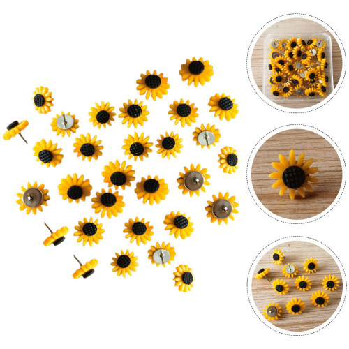 40Pz Push Pins in Resina E Ferro Per Bacheche E Ufficio 1