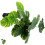 Bonsai Verde Decorazione Per Scrivania 11