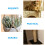 Raindrops Cat Scratching Post Replacement Rope Jute Rope 1set 9