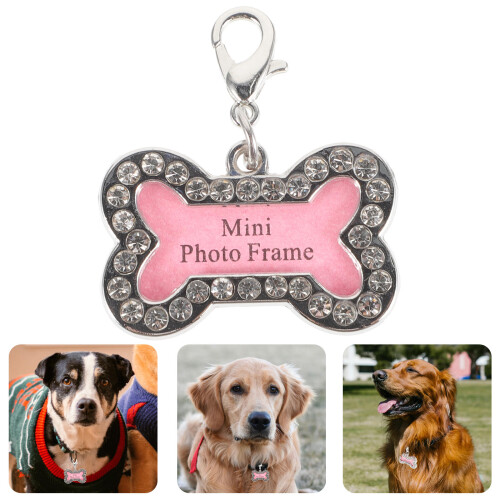 2Pz Charm Pet in Targhette Per Collare 1