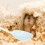 10Pièces Petit Pour D'animaux 9