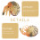 Artificial Nautilus Model Simulation Toy For Home Marine Adornment 10