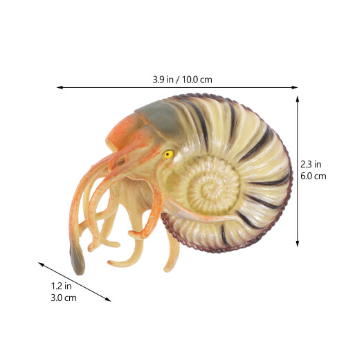 Artificial Nautilus Model Simulation Toy For Home Marine Adornment 1
