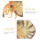 Artificial Nautilus Model Simulation Toy For Home Marine Adornment 11