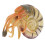 Artificial Nautilus Model Simulation Toy For Home Marine Adornment 3