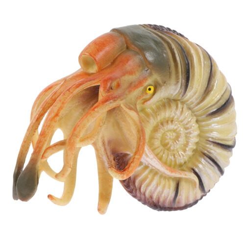 Artificial Nautilus Model Simulation Toy For Home Marine Adornment 2