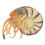 Artificial Nautilus Model Simulation Toy For Home Marine Adornment 8