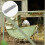 Silver Sturdy Galvanized Chicken Wire Mesh for Home, Farm, and Craft 5