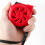 Red Measuring Tape with Thickened Designs 3/5/7.5/10m-5M25MM 5