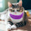 Protection Auditive En Tissu Doux Pour Violet 10