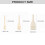 All Purpose Cooking Brush Set Safe for High Temperatures Baking 3