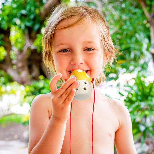 Ocarina Argento A Sei Per Studio Bambini in Ceramica 2