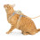 1Conjunto Para Cachorro Ajustável Material Resistente 11
