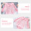 Romper Para Bebê Look Adorável 10
