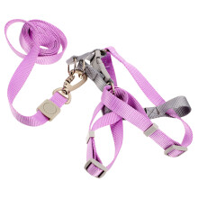 1Conjunto Peitoral E Para , Ajuste E