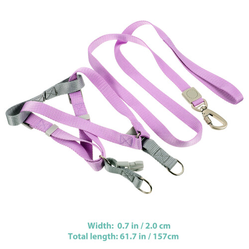 1Conjunto Peitoral E Para , Ajuste E 1