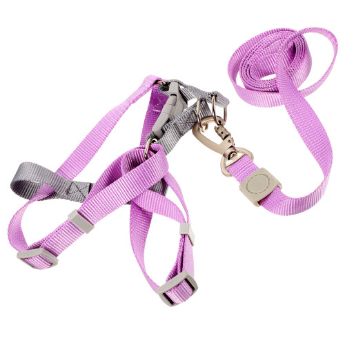1Conjunto Peitoral E Para , Ajuste E 2