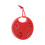 Tamburin Percussion Jingles Performance Instrument 9