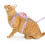 1Conjunto Peitoral Ajustável Para Cães E Rosa Nylon 11