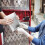 50Pz Buste Imbottite Per Conservazione 6