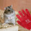 1Par Protetoras De Nitrilo Antirrisco Para Treinamento De Pets 6