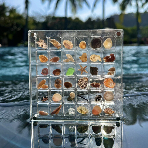 2St Shell Display Case Transparant Met 36 Vakjes Collecties 2