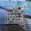 2St Shell Display Case Transparant Met 36 Vakjes Collecties 4