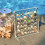 2St Shell Display Case Transparant Met 36 Vakjes Collecties 5