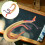 Multi Plastic Leshulpmiddel Schistosoma Dier Model 6