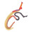 Multi Plastic Leshulpmiddel Schistosoma Dier Model 9