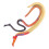 Multi Plastic Leshulpmiddel Schistosoma Dier Model 8