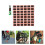 1Jgo Kit Multicolor Para Emergencias 10