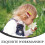 6St Metalen Haarclips - Kleuren, En Stevig 9