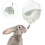 Dispenser Trasparente Per Criceti E Cavie in Pet 7