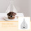 Cloche Spessa Trasparente Torta E in 8
