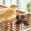 Portable Parrot Playground With Feeding Cup For Training And Play 5