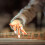 5 De Práctica Para Guzheng Herramientas Resistentes 9