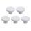 5St Coral Frag Plugs Stevig in Aquarium 10