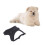 Peitoral Para E Cães Oxford Preto 7