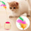 Cat Toy Interactive Scratching Balls Toy-Ball diameter 6.5cm 7