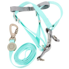 1Conjunto Arnês Leve E Para Cães Pequenos Poliéster
