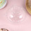 1Set Plastic Cakebox Wit Met Koepel Voor Cupcakes En Bescherming 8