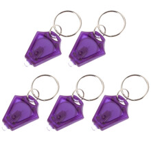 5St Praktische LED Geldzoeker Sleutelhanger Lamp Paars Plastic