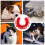 Rotes Katzen- Und Welpenhalsband Mit , Und 10