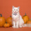 Verstelbare Roze Kattenhalsband Met En Decor 3