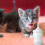 Wit Puppy Melkflessen Gemakkelijk Schoon Te Maken 5